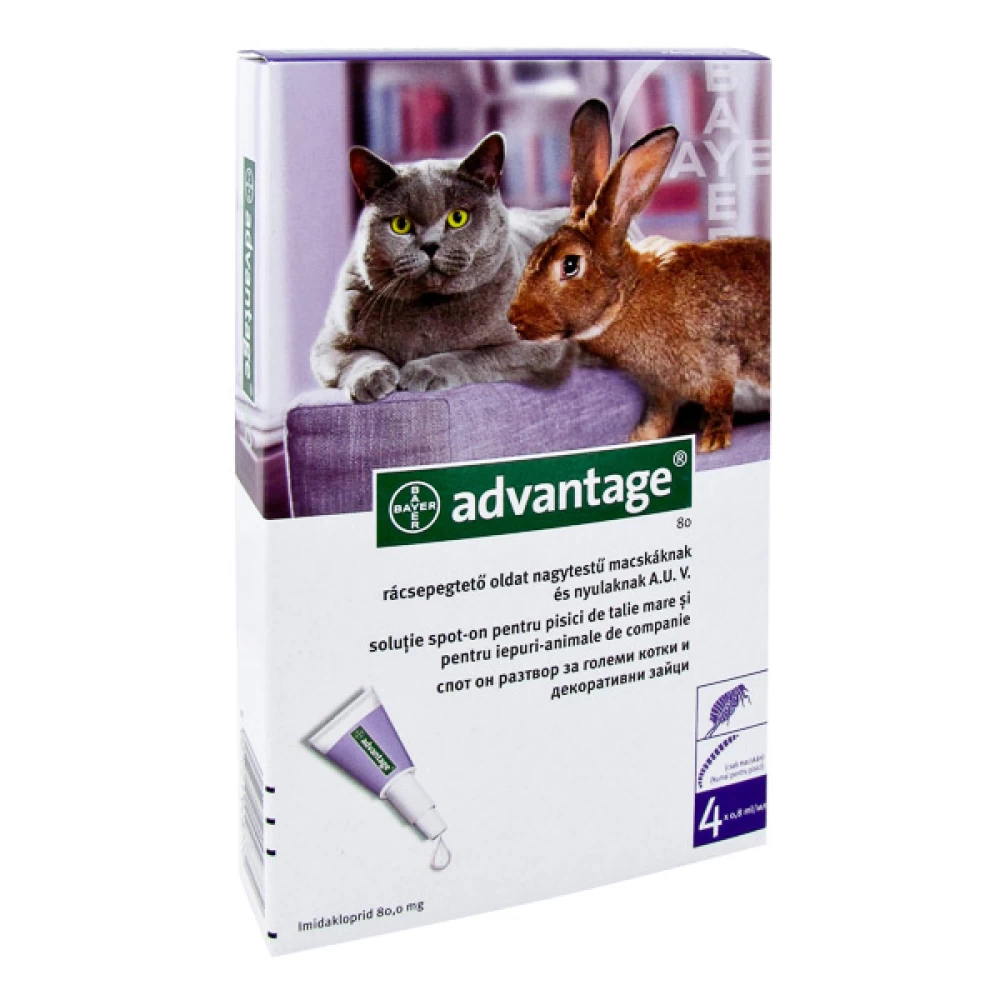 Advantage Pisica/Iepure 80, > 4 kg, 4 pipete