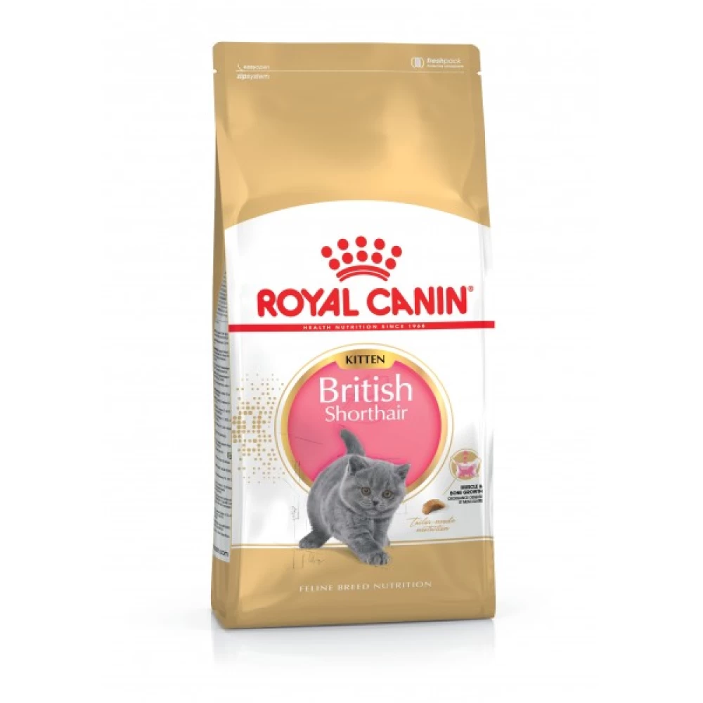 Royal Canin British Shorthair Kitten, 400 g Hrană uscată pentru pisici