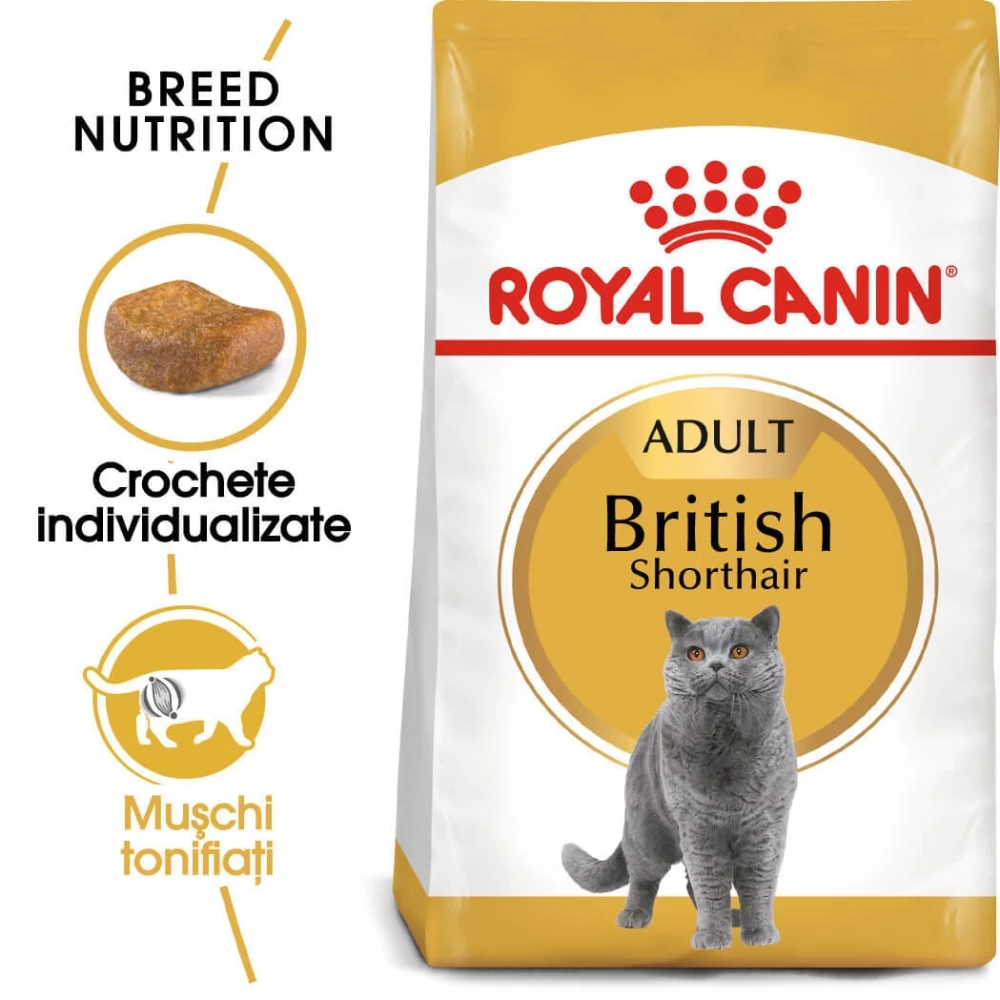 Royal Canin British Shorthair Adult, 2 kg Hrană uscată pentru pisici