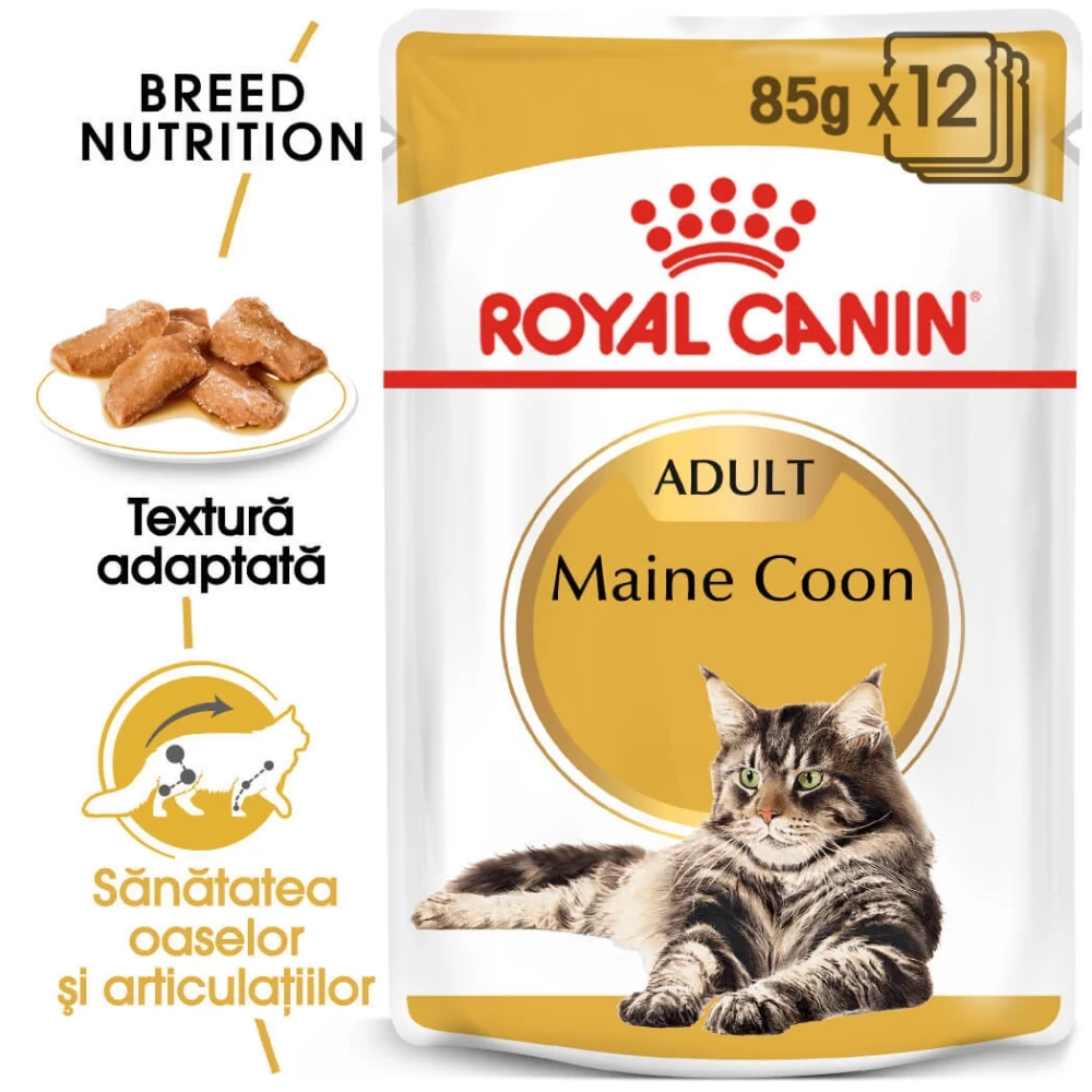 Royal Canin Maine Coon Adult, 85 g Hrană Umedă pentru pisici