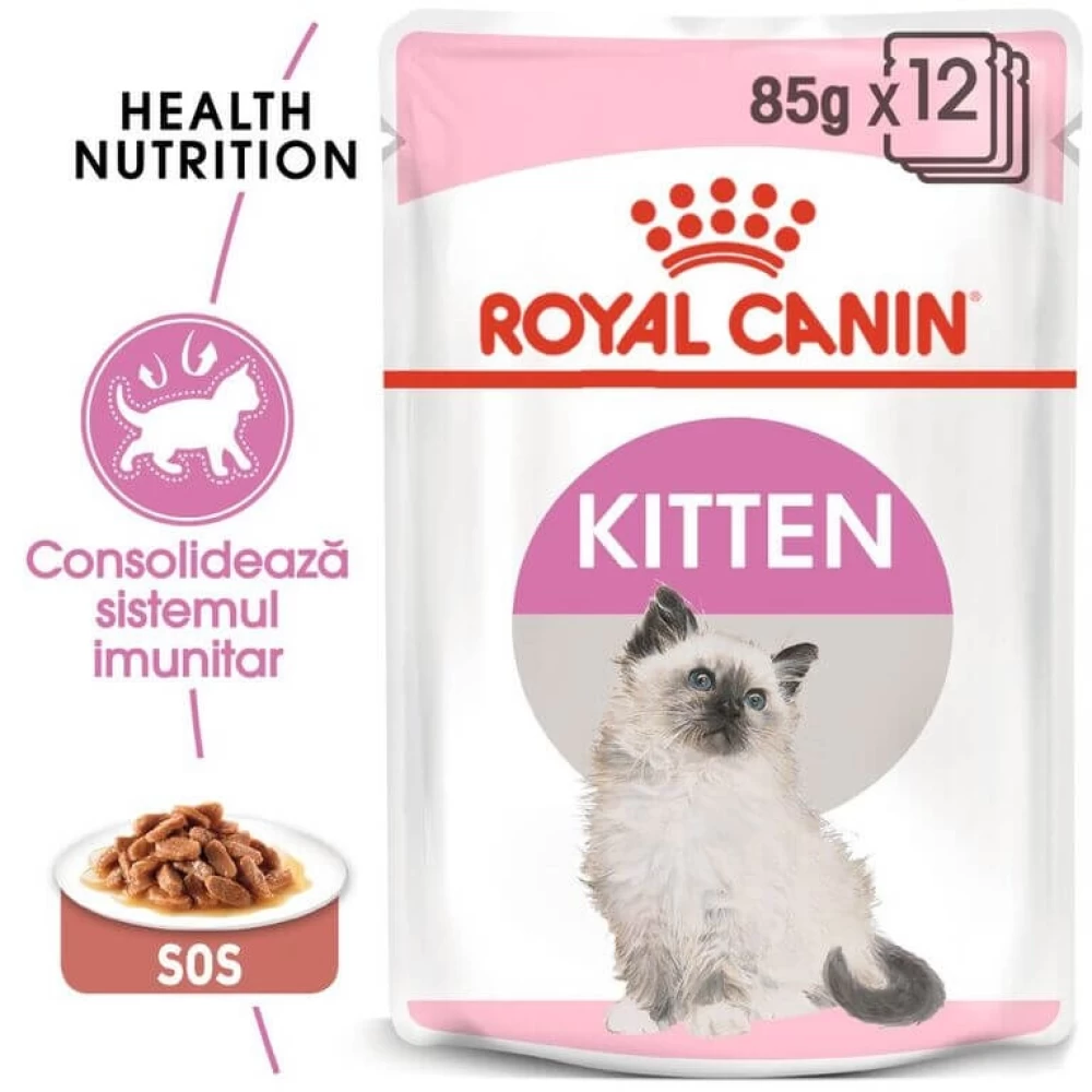 Royal Canin Kitten in Gravy, 85 g Hrană Umedă pentru pisici