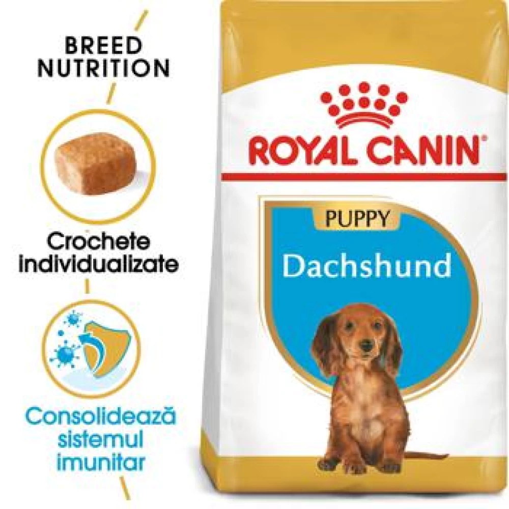 Royal Canin Dachshund Puppy, 1.5 kg Hrană Uscată pentru caini