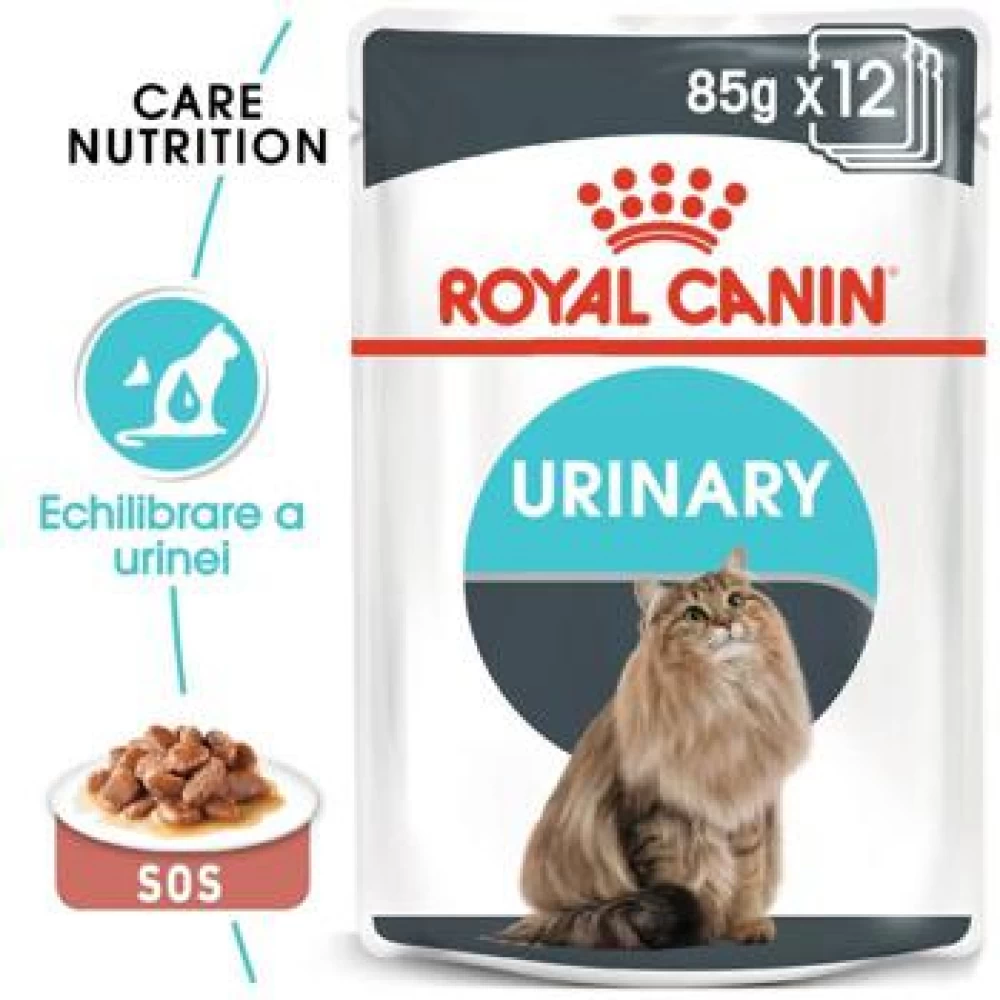 Royal Canin Urinary Care, 85 g Hrană Umedă pentru pisici