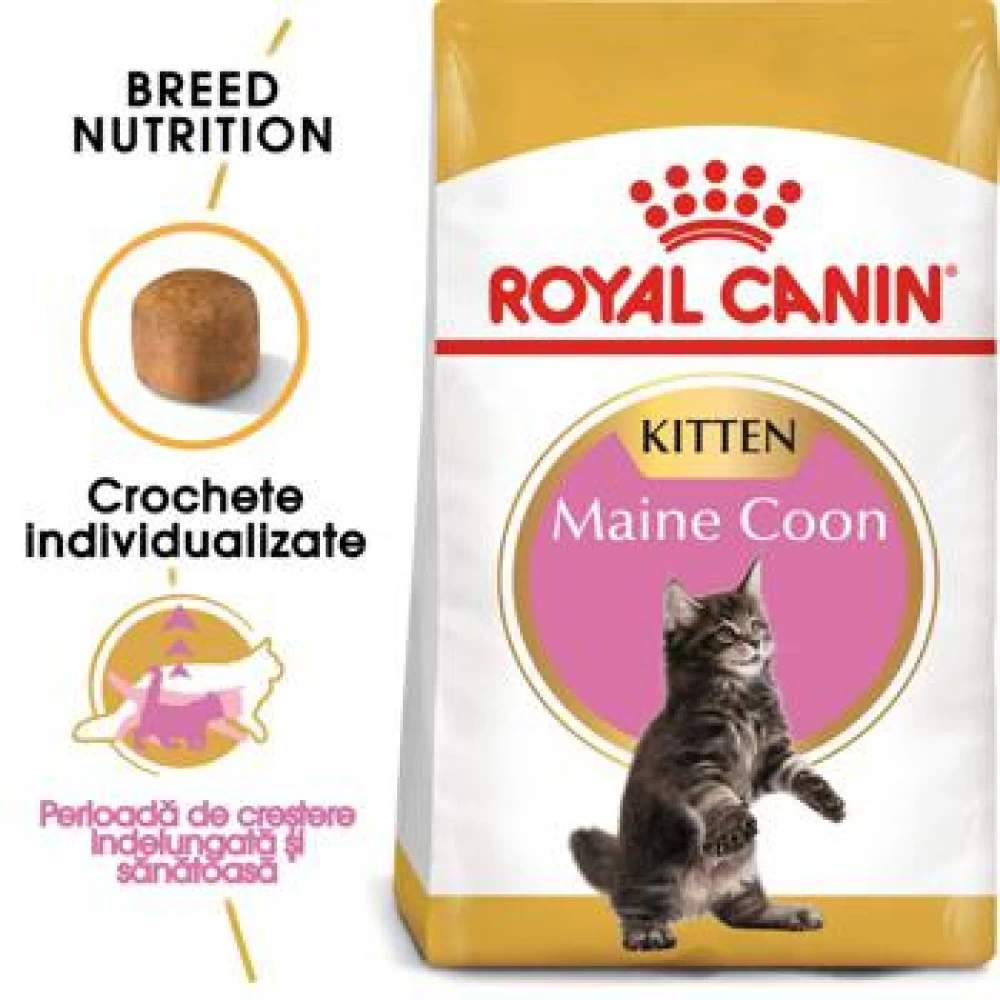 Royal Canin Maine Coon Kitten, 10 kg Hrană uscată pentru pisici