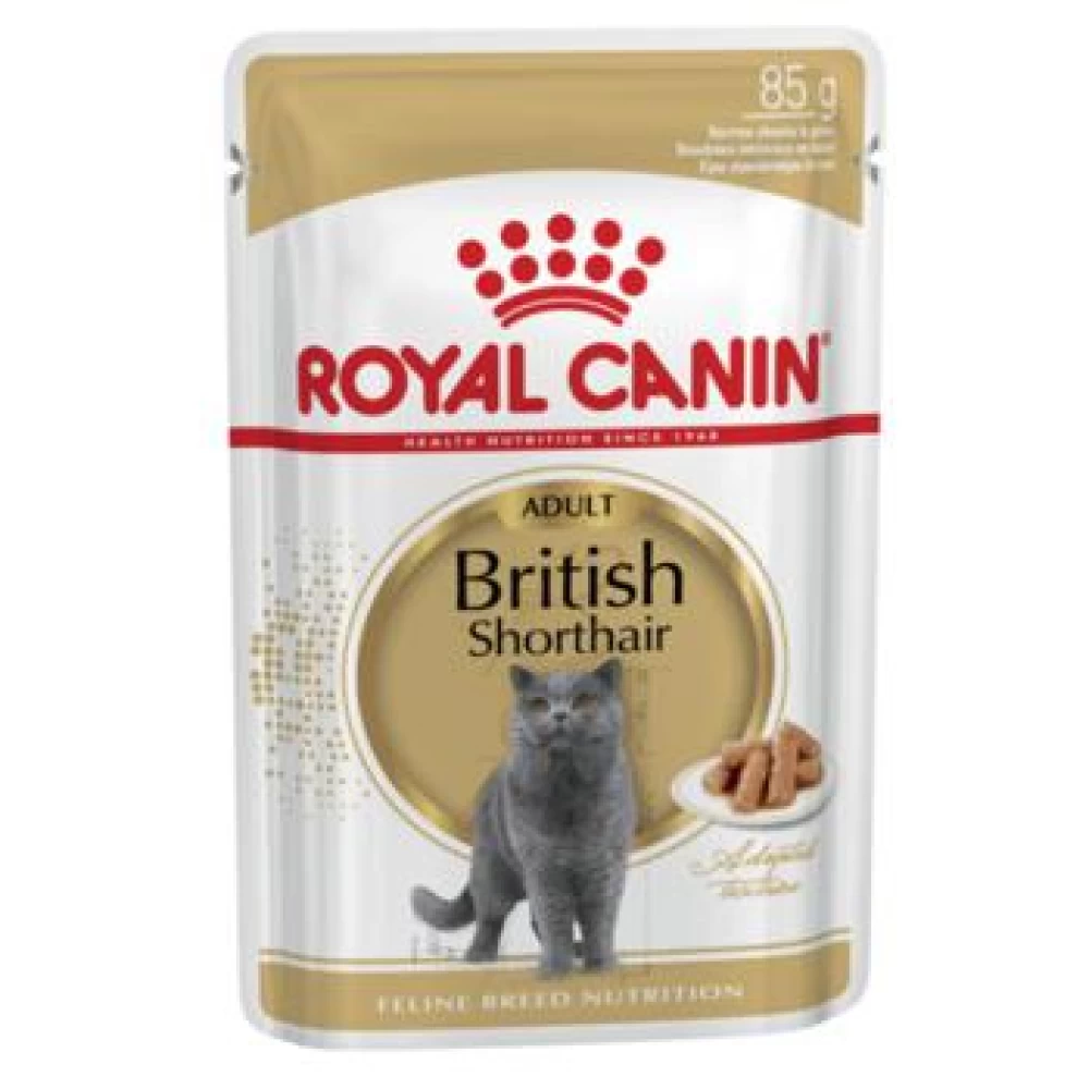 Royal Canin British Shorthair Adult, 85 g Hrană Umedă pentru pisici