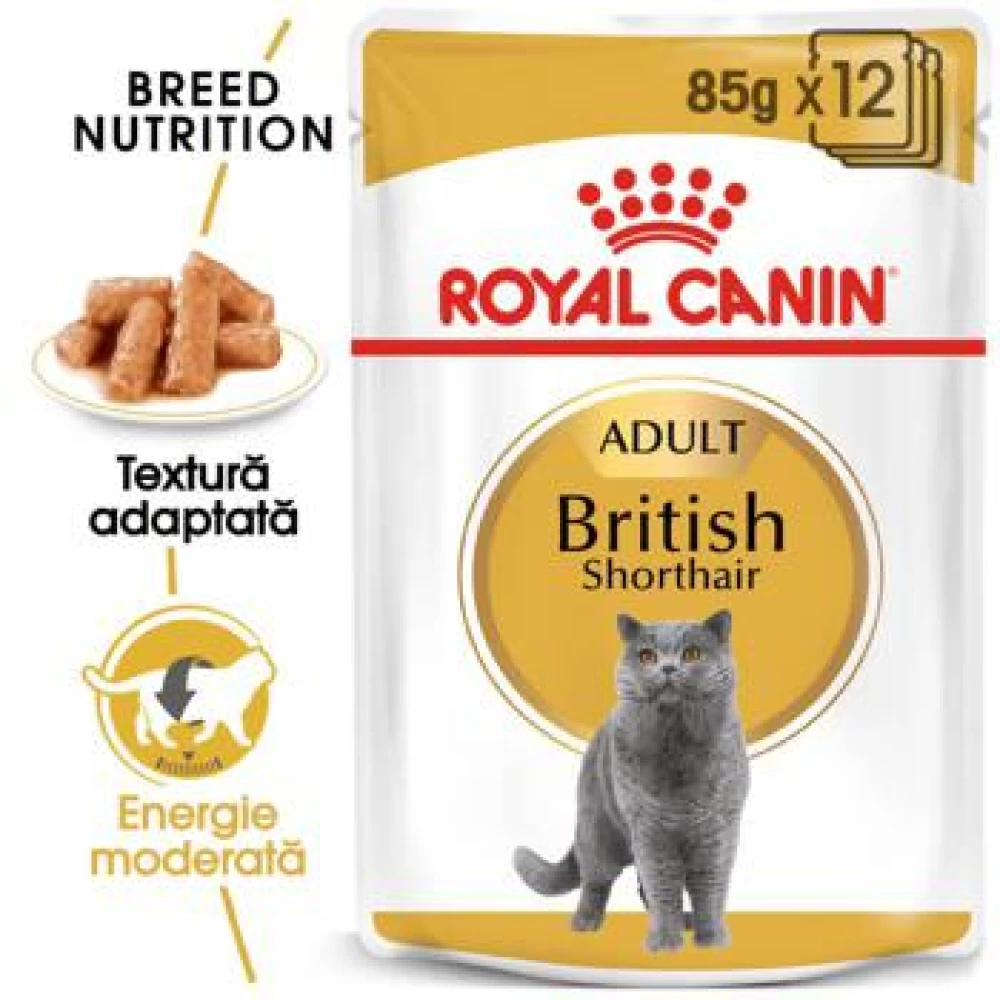 Royal Canin British Shorthair Adult, 85 g Hrană Umedă pentru pisici