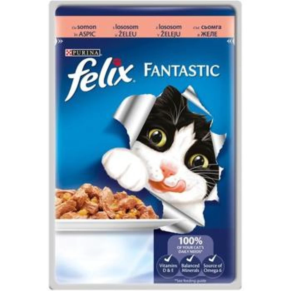 Felix Fantastic cu Somon, Plic 100 g Hrană Umedă pentru pisici