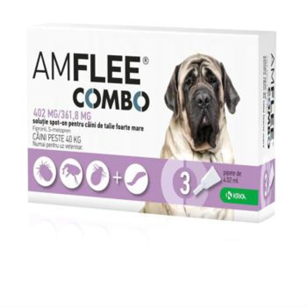 Amflee Combo Caine XL 40-60 kg, 3 Bucati