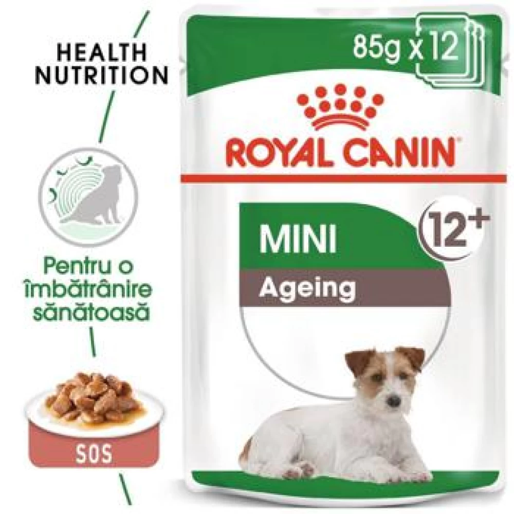 Royal Canin Mini Ageing 12+, 85 g Hrană Umedă pentru caini