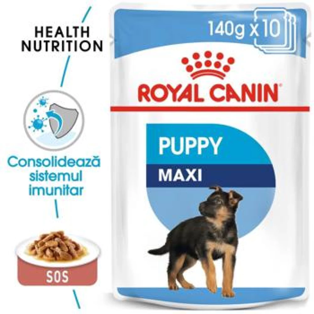 Royal Canin Maxi Puppy, 140 g Hrană Umedă pentru caini