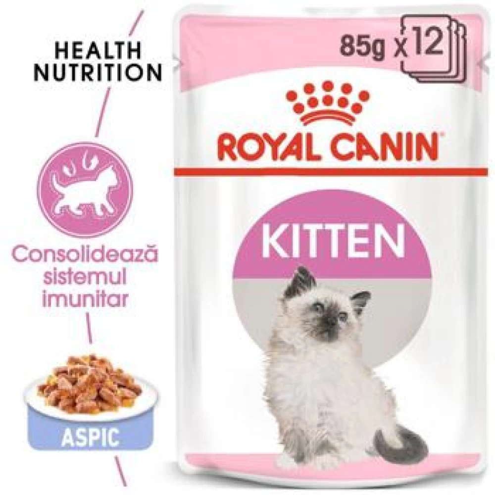 Royal Canin Kitten Instinctive in Jelly, 85 g Hrană Umedă pentru pisici