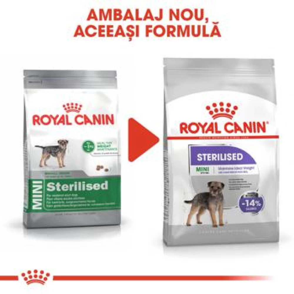 Royal Canin Mini Sterilised Adult 1 Kg Hrană Uscată pentru caini