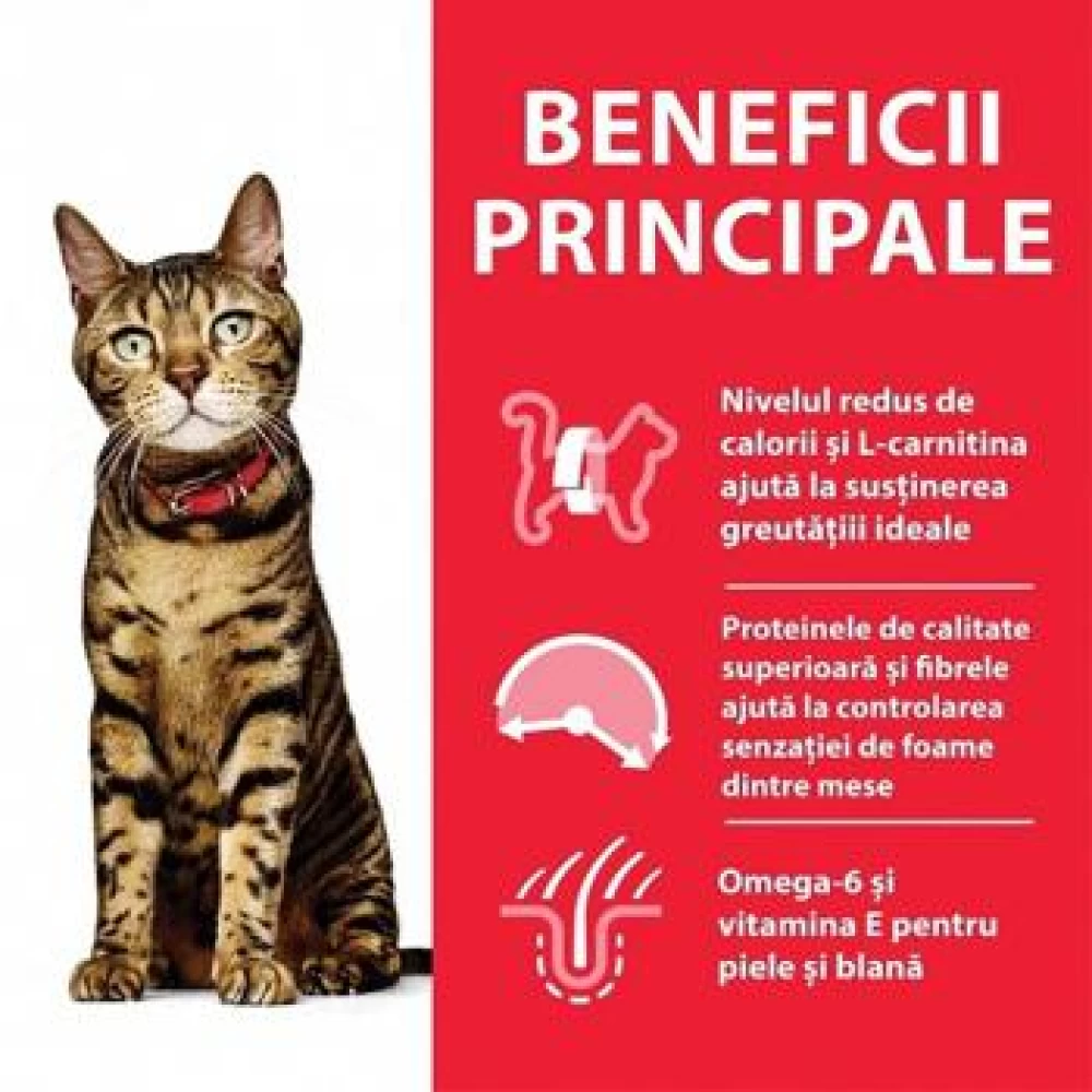 Hill's SP Feline Adult Light Pui, 1.5 Kg Hrană uscată pentru pisici