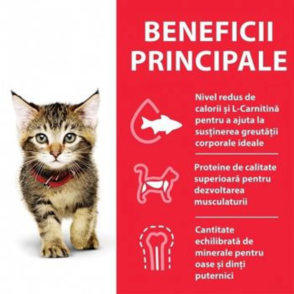 Hill's SP Feline Kitten Plic Curcan 85 g Hrană Umedă pentru pisici