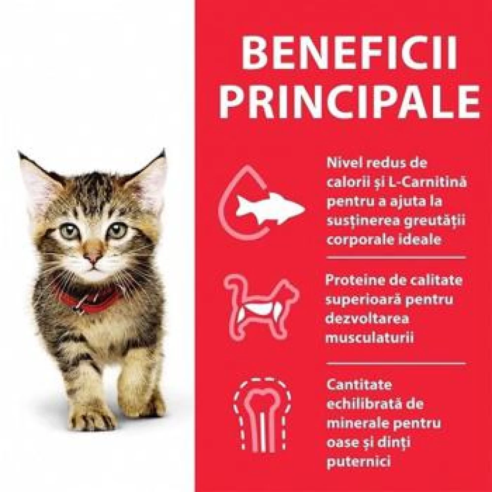 Hill's SP Feline Kitten Pui, 300 g Hrană uscată pentru pisici