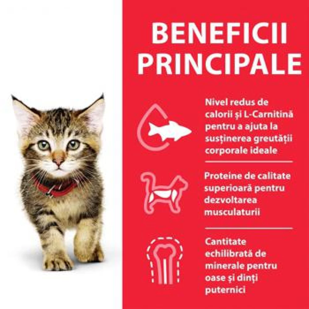 Hill's SP Feline Kitten Plic Pui, 85 g Hrană Umedă pentru pisici