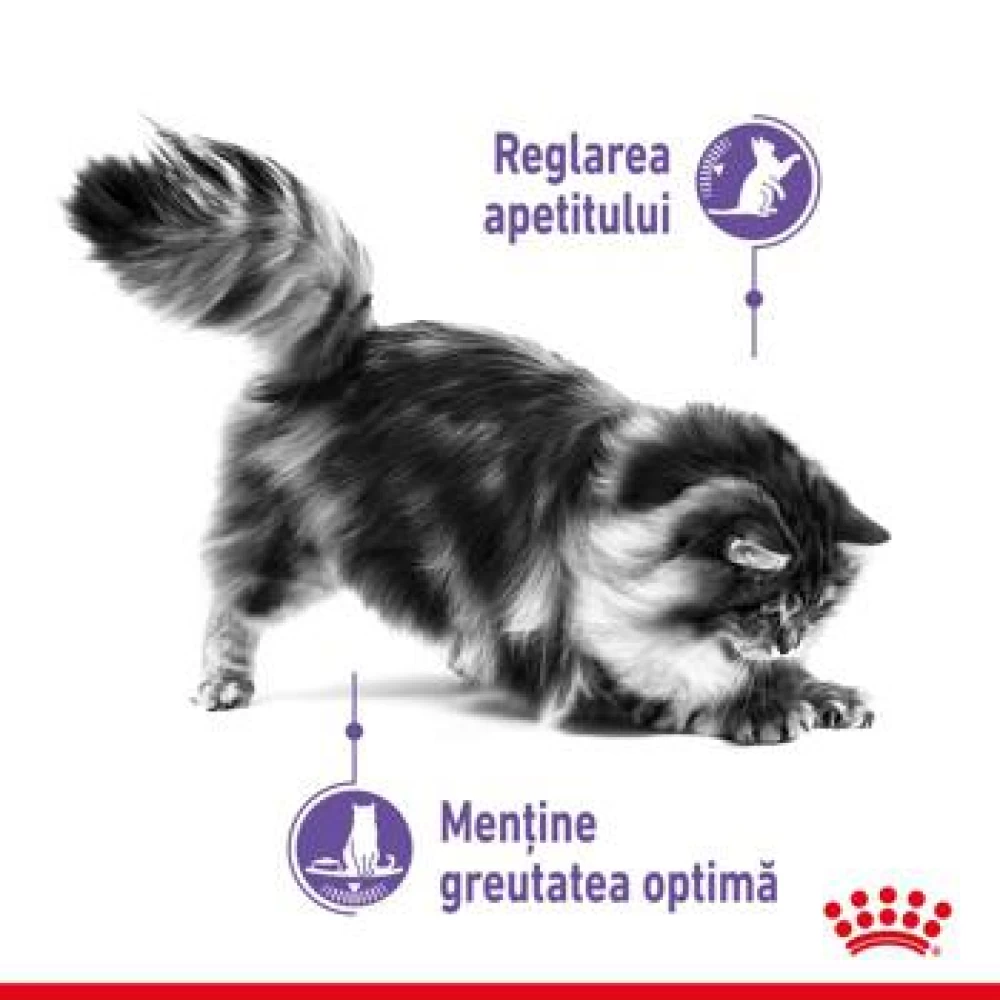 Royal Canin Appetite Control Care, 400 g Hrană uscată pentru pisici